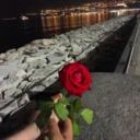 wrong-different-girl avatar