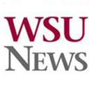 wsunews avatar