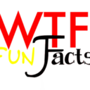 wtf-fun-factss avatar