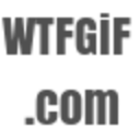 wtf-gif avatar