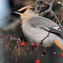 wtfamidoing-fam avatar