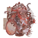 wuthering-edits avatar