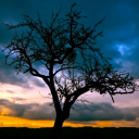 wutheringheightsthings avatar