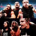 wweshieldboys avatar