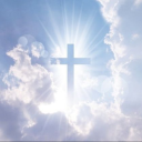 wynsdumm-prydde avatar