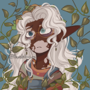 x-butmorelikethemoon avatar