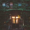 xbelliforniax avatar