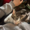 xbequietanddrivex avatar