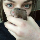 xdieanotherdayx avatar