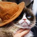 xgrumpycat avatar