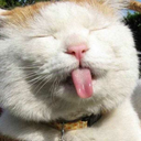 xinzhenhuang-blog avatar