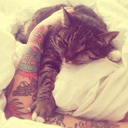 xlolaunicornx avatar