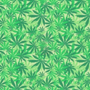 xostaylifted-blog avatar