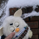 xrollthedicex avatar