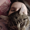 yahtzeeyeeyee avatar