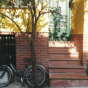 yalnizlikkoleksiyoncusu avatar