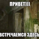 yalubluromashki avatar