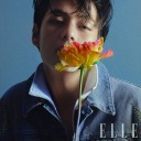 yanandreckless avatar