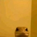 yasutheculprit avatar