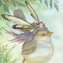 yedinciistasyon avatar