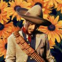 yeehawthis-blog avatar