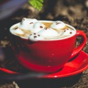 yellowlemon20 avatar