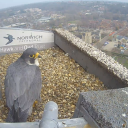 yes-sir-i-can-boogie avatar