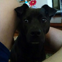 yesterdayiscoming avatar