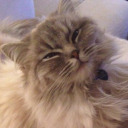 yetanotherramblingblogger avatar