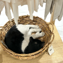 yorulmussbiri avatar