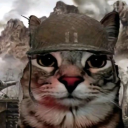 yosefinthetrenches avatar