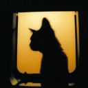 you-are-a-saucy-boi avatar