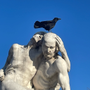 youhatevanpelt avatar