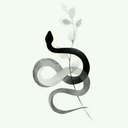 youngandeasilybored avatar