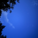 youngwildmildlyinsane avatar