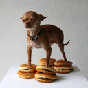 your-consulting-demon avatar