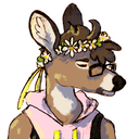 your-deer avatar