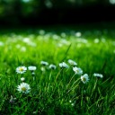 youre-so-brave avatar