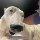 yourfroggingmother avatar