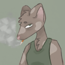 yourlocalforestrat avatar