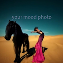 yourmoodtopphoto avatar