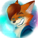 yourpocketfox avatar