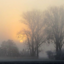 yoursorrynotsorrybabe avatar