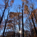 yourstrulyandersen avatar