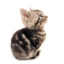 youryesmandraws avatar