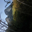 youth-and-roses avatar