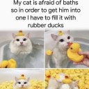 youve-got-a-roman avatar