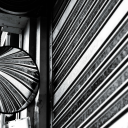 yuichikojimaphotography avatar