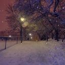 yuli-fragmentos avatar