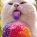 yummy-meow-blog avatar